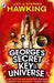 George's Secret Key to the Universe Popular Titles Penguin Random House Children's UK