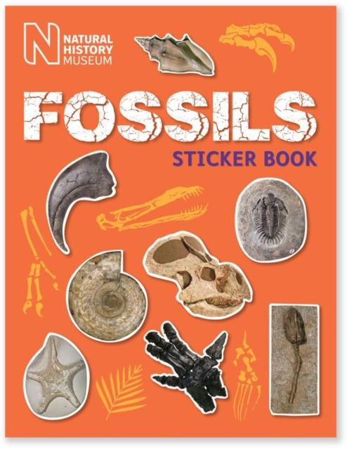 Fossils Sticker Book Popular Titles The Natural History Museum
