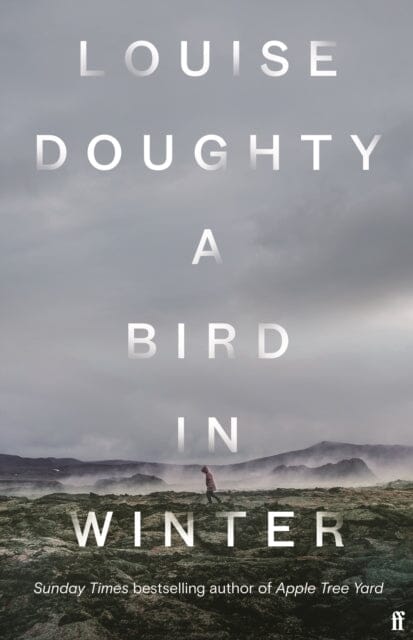 A Bird in Winter : 'Nail-bitingly tense and compelling' Paula Hawkins by Louise Doughty Extended Range Faber & Faber