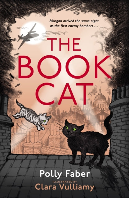 The Book Cat by Polly Faber Extended Range Faber & Faber