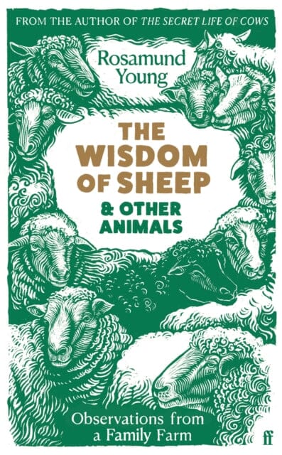 The Wisdom of Sheep & Other Animals : Observations from a Family Farm by Rosamund Young Extended Range Faber & Faber
