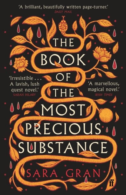 The Book of the Most Precious Substance : Discover this year's most spellbinding quest novel by Sara Gran Extended Range Faber & Faber