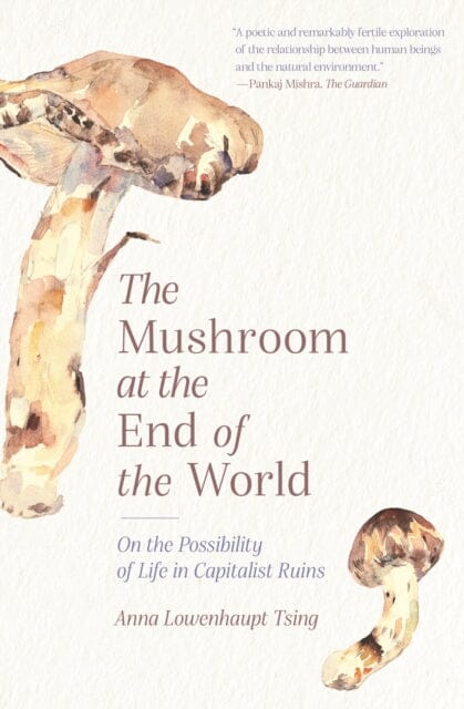 The Mushroom at the End of the World: On the Possibility of Life in Capitalist Ruins by Anna Lowenhaupt Tsing Extended Range Princeton University Press