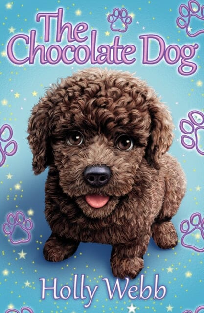 The Chocolate Dog NE by Holly Webb Extended Range Scholastic