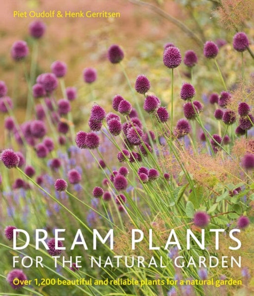 Dream Plants for the Natural Garden by Piet Oudolf Extended Range Frances Lincoln Publishers Ltd