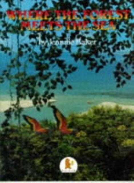 Where the Forest Meets the Sea Popular Titles Walker Books Ltd