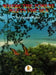 Where the Forest Meets the Sea Popular Titles Walker Books Ltd