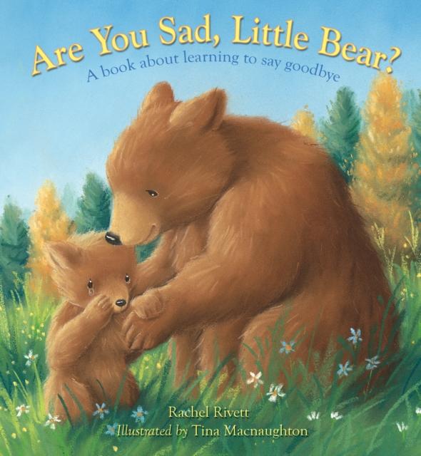 Are You Sad, Little Bear? Popular Titles Lion Hudson Ltd