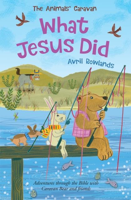 What Jesus Did : Adventures through the Bible with Caravan Bear and friends Popular Titles Lion Hudson Ltd