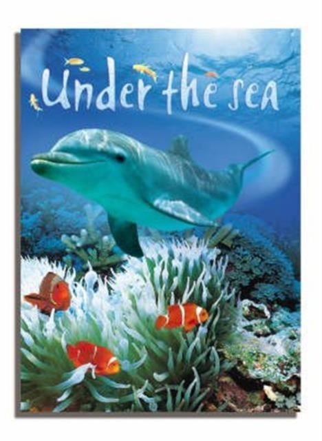 Caterpillars And Butterflies Popular Titles Usborne Publishing Ltd