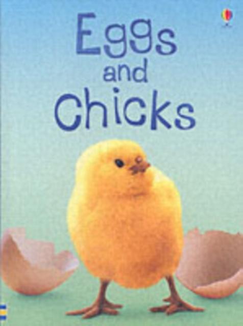 Eggs and Chicks Popular Titles Usborne Publishing Ltd