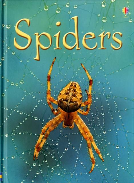 Spiders Popular Titles Usborne Publishing Ltd