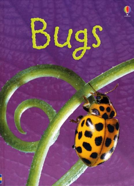 Bugs Popular Titles Usborne Publishing Ltd