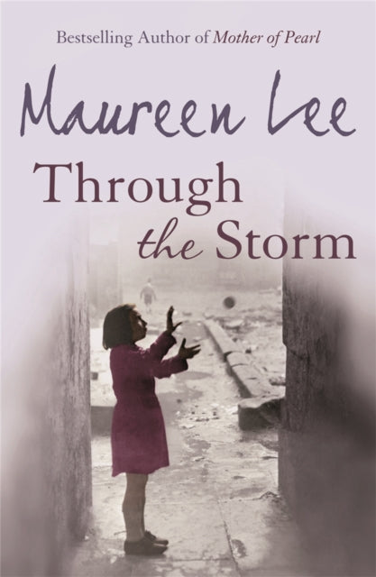Through The Storm by Maureen Lee Extended Range Orion Publishing Co