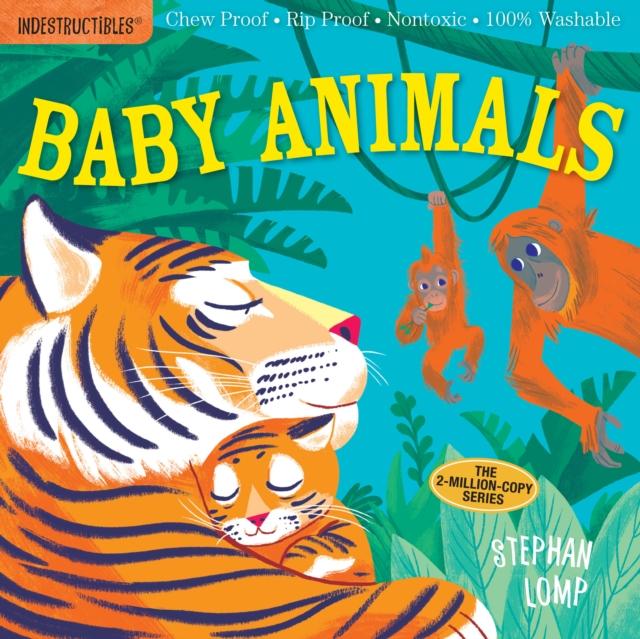 Indestructibles: Baby Animals Popular Titles Workman Publishing
