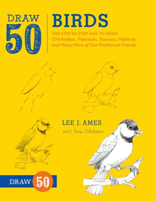 Draw 50 Birds : The Step-by-Step Way to Draw Chickadees, Peacocks, Toucans, Mallards, and Many More of Our Feathered Friends Popular Titles Watson-Guptill Publications