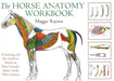 Horse Anatomy Workbook : A Learning Aid for Students Based on Peter Goody's Classic Work, Horse Anatomy Extended Range The Crowood Press Ltd
