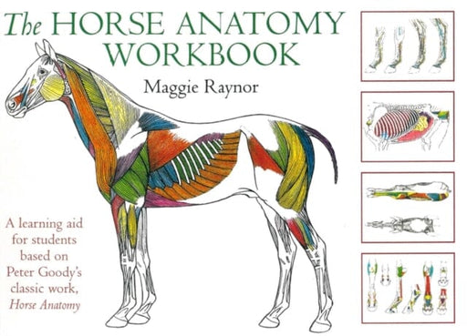Horse Anatomy Workbook : A Learning Aid for Students Based on Peter Goody's Classic Work, Horse Anatomy Extended Range The Crowood Press Ltd