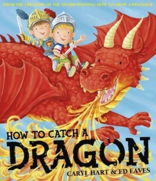 How To Catch a Dragon Popular Titles Simon & Schuster Ltd