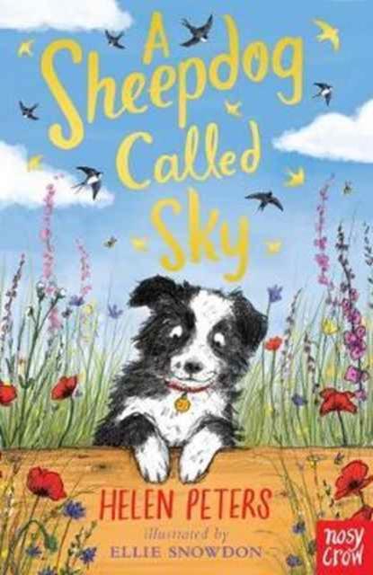 A Sheepdog Called Sky Popular Titles Nosy Crow Ltd