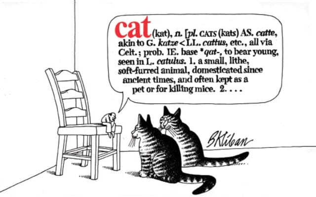 Cat by B. Kliban Extended Range Workman Publishing
