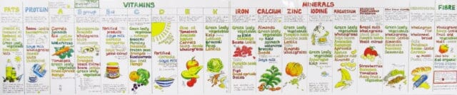 Vitamin Chart by Liz Cook Extended Range Liz Cook