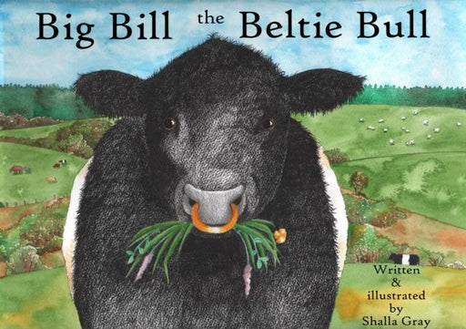 Big Bill the Beltie Bull Popular Titles Curly Tale Books
