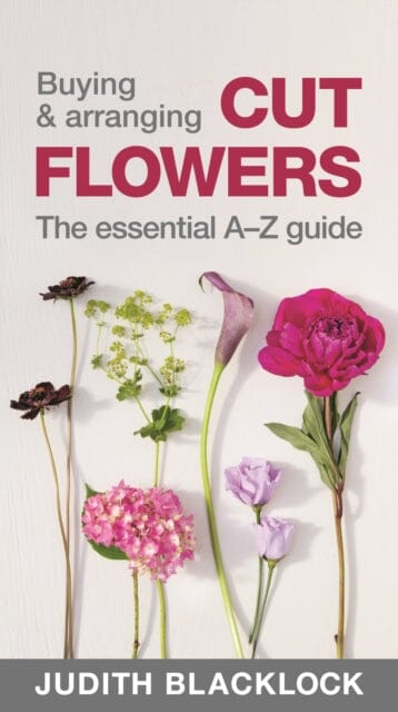 Buying & Arranging Cut Flowers - The Essential A-Z Guide by Judith Blacklock Extended Range The Flower Press Ltd