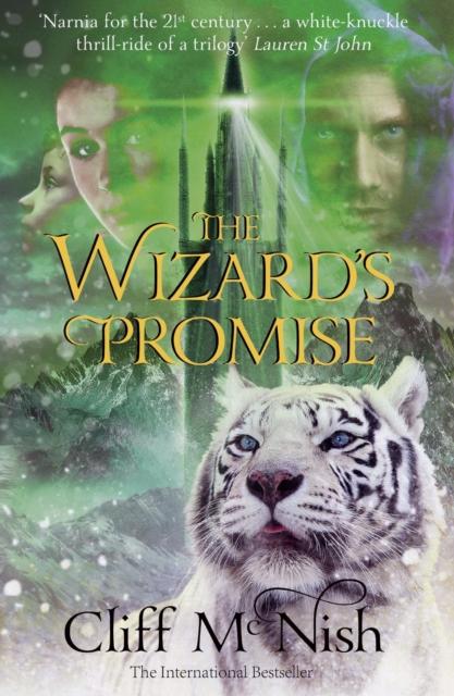 The Wizard's Promise Popular Titles Doomspell Books