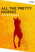 All the Pretty Horses by Cormac McCarthy Extended Range Pan Macmillan