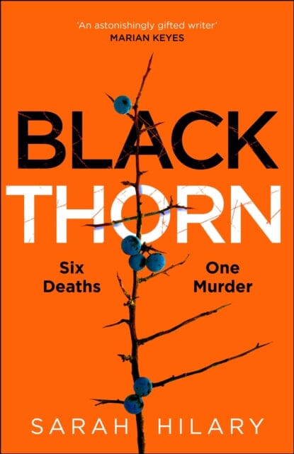 Black Thorn : A slow-burning, multi-layered mystery about families and their secrets and lies by Sarah Hilary Extended Range Pan Macmillan