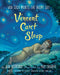 Vincent Can't Sleep : Van Gogh Paints The Night Sky Popular Titles Alfred A. Knopf