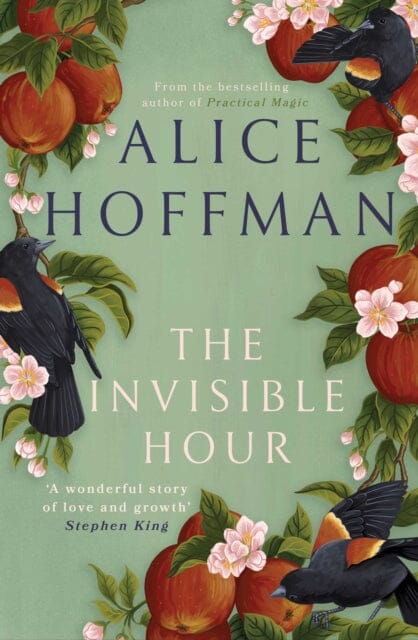 The Invisible Hour by Alice Hoffman Extended Range Simon & Schuster Ltd