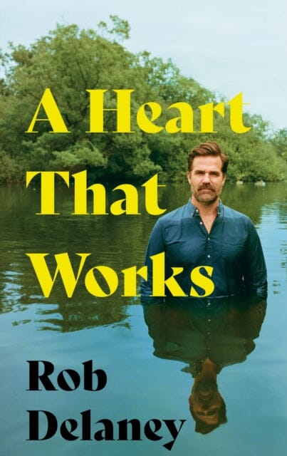 A Heart That Works by Rob Delaney Extended Range Hodder & Stoughton