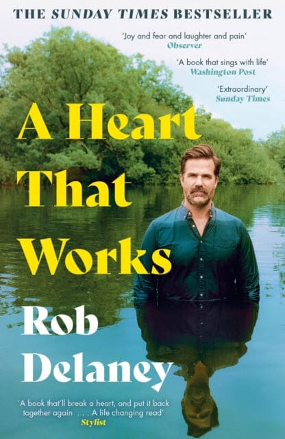 A Heart That Works : THE SUNDAY TIMES BESTSELLER by Rob Delaney Extended Range Hodder & Stoughton