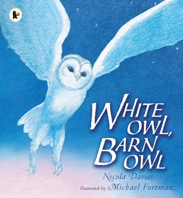 White Owl, Barn Owl Popular Titles Walker Books Ltd