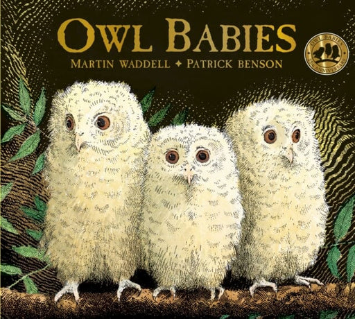 Owl Babies by Martin Waddell Extended Range Walker Books Ltd