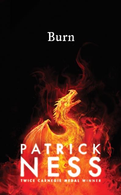 Burn Popular Titles Walker Books Ltd