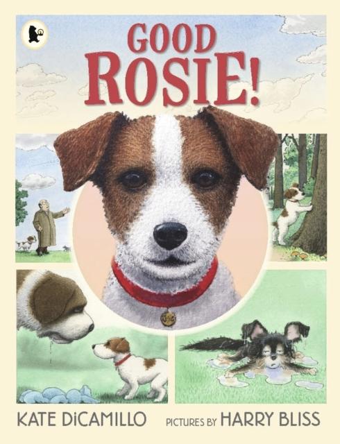 Good Rosie! Popular Titles Walker Books Ltd