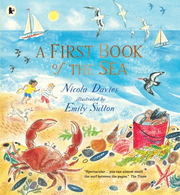 A First Book of the Sea Popular Titles Walker Books Ltd