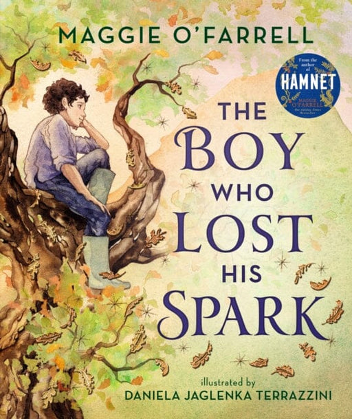 The Boy Who Lost His Spark Extended Range Walker Books Ltd