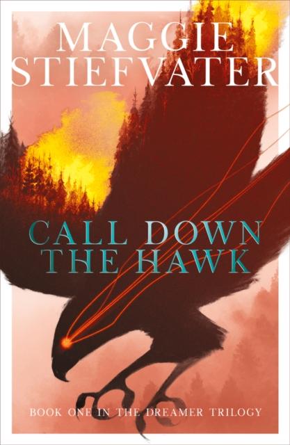 Call Down the Hawk Popular Titles Scholastic
