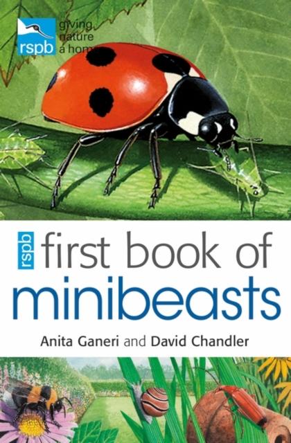 RSPB First Book Of Minibeasts Popular Titles Bloomsbury Publishing PLC