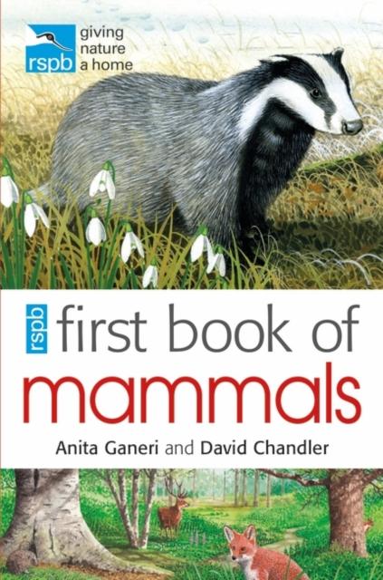 RSPB First Book Of Mammals Popular Titles Bloomsbury Publishing PLC