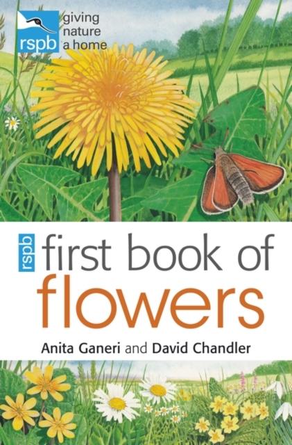 RSPB First Book of Flowers Popular Titles Bloomsbury Publishing PLC