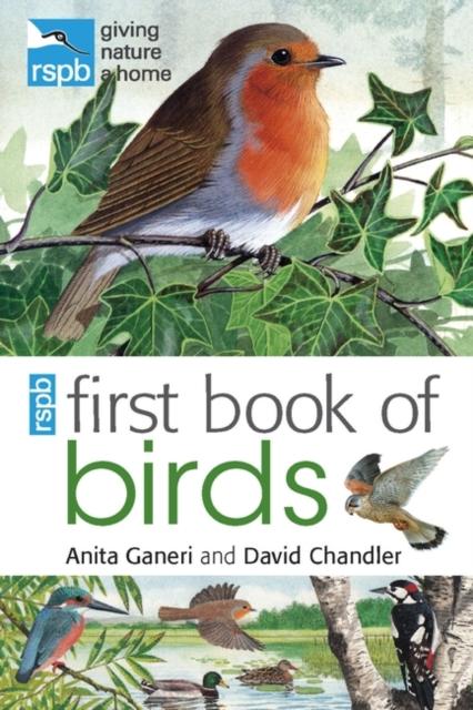 RSPB First Book Of Birds Popular Titles Bloomsbury Publishing PLC