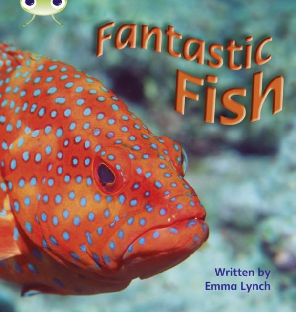 Bug Club Phonics Non Fiction Year 1 Phase 4 Set 12 Fantastic Fish Popular Titles Pearson Education Limited