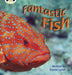 Bug Club Phonics Non Fiction Year 1 Phase 4 Set 12 Fantastic Fish Popular Titles Pearson Education Limited