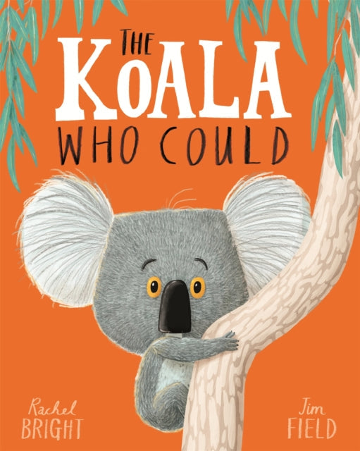 The Koala Who Could by Rachel Bright Extended Range Hachette Children's Group