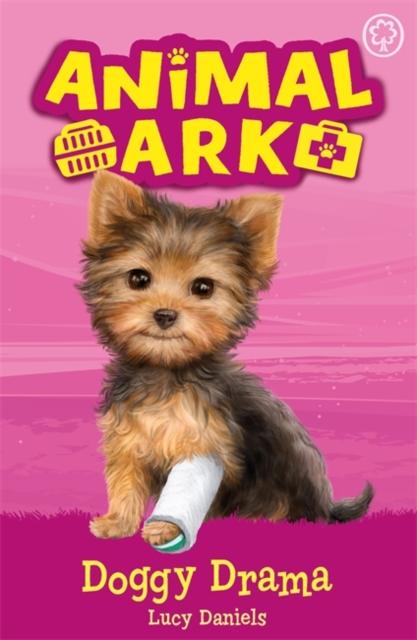 Animal Ark, New 5: Doggy Drama : Book 5 Popular Titles Hachette Children's Group